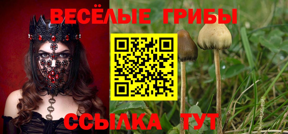Галлюциногенные грибы Magic Shrooms  Вход с VPN  Киселёвск 